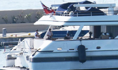 Eric Clapton, Akdeniz turunu köpeğinin ölümüyle yarıda kesti