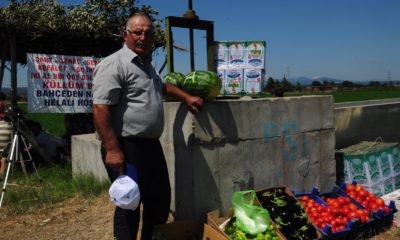 Yol kenarındaki tarlasında yetişen ürünleri ücretsiz veriyor