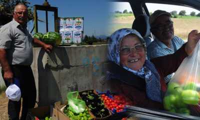 Yol kenarındaki tarlasında yetişen ürünleri ücretsiz veriyor 