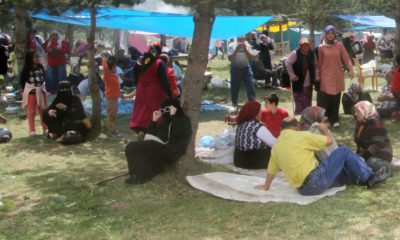 Ordu’nun mendereslerine ziyaretçi akını