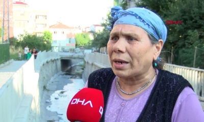 Avcılar’da Batı Nil Virüsü(BNV) alarmı