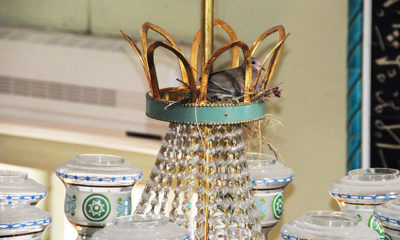 Kumru, caminin içinde avizeye yuva yaptı