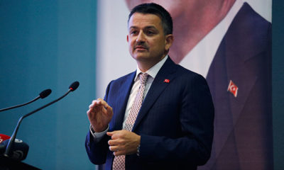 Bakan Pakdemirli: İspanya’dan getirilen hayvanlarda karantina devam ediyor