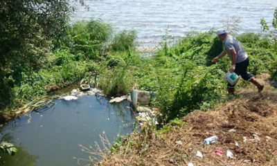 İBB’den Avcılar’daki ‘Batı Nil Virüsü’ ile ile ilgili açıklama