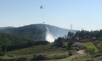 Şile’de orman yangını