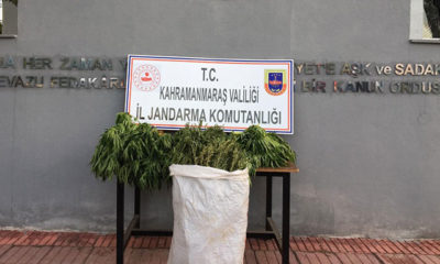 Kahramanmaraş’ta uyuşturucu operasyonu: 2 gözaltı