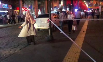 Caddeyi ‘kakalak’ böceği sardı, ekipler ilaçlama yaptı