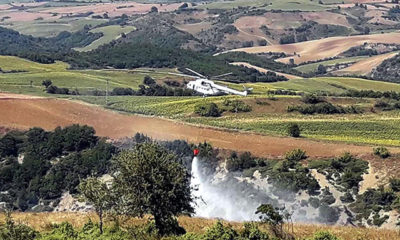 Tekirdağ’da orman yangını