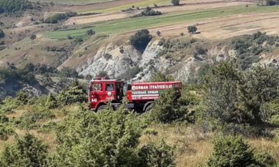 Tekirdağ’da orman yangını