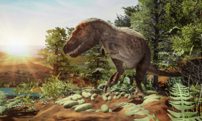 Son teknoloji sayesinde T-rex evlere girmeye başladı
