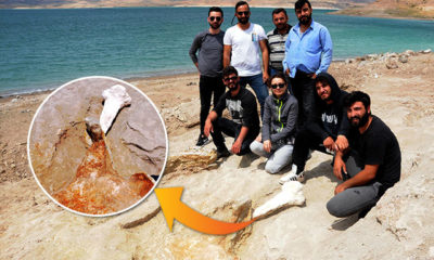 Baraj kıyısından 280 fosil çıktı