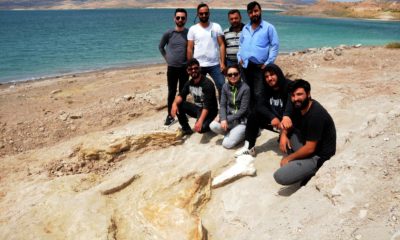 Baraj kıyısından 280 fosil çıktı