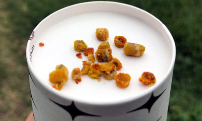 Arı ekmeği, sentetik vitaminlerin yerini almaya başladı