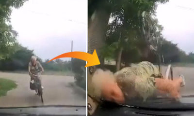 Polis aracına çarpan bisikletli yaşlı kadın cezadan kaçamadı