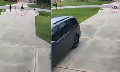 Pitbullun saldırdığı çocuğun imdadına komşusu yetişti