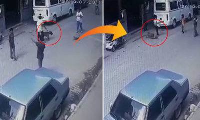 ‘Çıtır’ı, Pitbull’a parçalatan 4 çocuk adliyeye sevk edildi