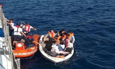 Bodrum’da 10 kaçak göçmen yakalandı