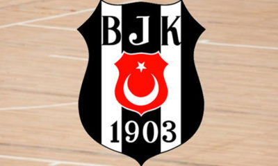 Jordan Theodore, Beşiktaş Sompo Sigorta’da