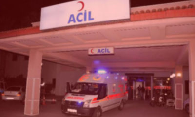 Batı Nil virüsü KKTC’de can aldı