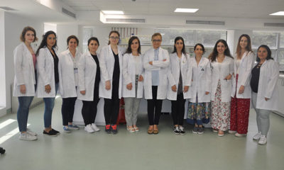 Klonlama yöntemi ile bir yapraktan binlerce ağaç üretiliyor
