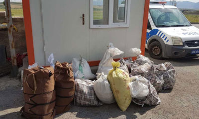 Doğadan salep toplayan 2 kişiye para cezası