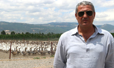 İki kez iflas etti, başkan adayı oldu seçilemedi… Başarıyı böyle yakaladı