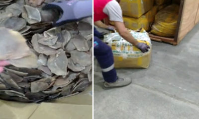 Piyasa değeri 8 milyon 500 bin lira! İstanbul Havalimanı’nda ele geçirildi