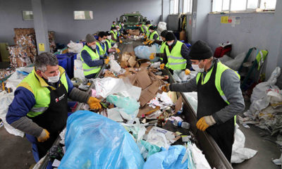 Bağcılar’da 89 bin ağaç kesilmekten kurtarıldı