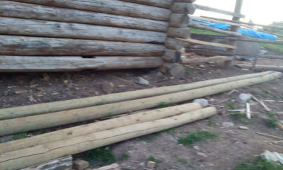 Çaldığı elektrik direklerini ev inşaatında kullanmış