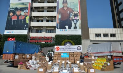5 ilde Teff tohumlu zayıflama çayı ve cinsel güç artırıcı ürün operasyonu