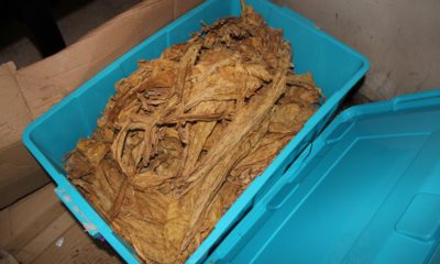 İstanbul’da depo baskınında ele geçirildi: Tam 3 ton