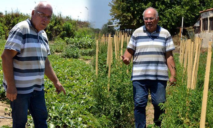6 ayda 300 farklı yerli tohum elde edildi