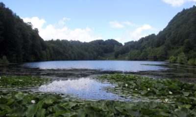 Türkiye’nin en uzun ömürlü insanlarının yaşadığı 10 yer arasında