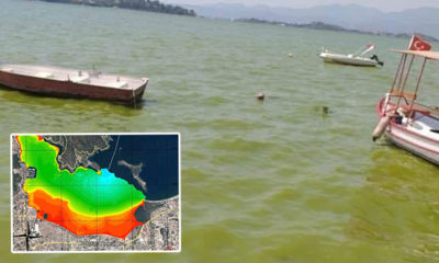 Çevre ve Şehircilik Bakanlığı’ndan, Fethiye Körfezi’ndeki kirlilikle ilgili açıklama