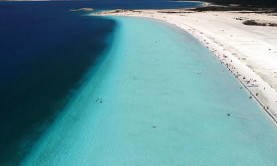 ‘Saldivler’e ayakkabıyla giriş yasaklansın’