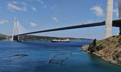 İstanbul Boğazı’nda sadece 3 dalyan kaldı