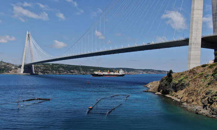 İstanbul Boğazı’nda sadece 3 dalyan kaldı