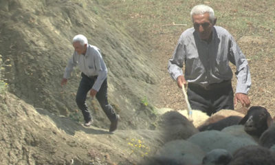 70’lik atlet