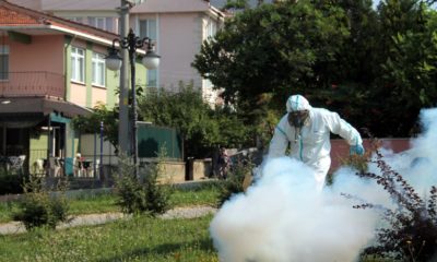 Edirne’yi ‘sinek’ bastı