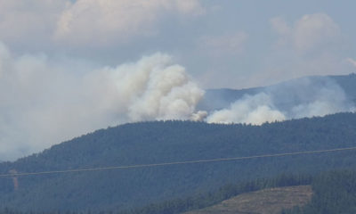Bursa’da orman yangını