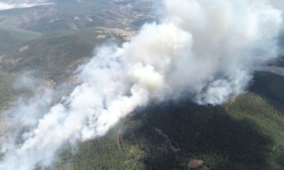 Bursa’da orman yangını 7 saattir söndürülemedi! Müdahale sürüyor
