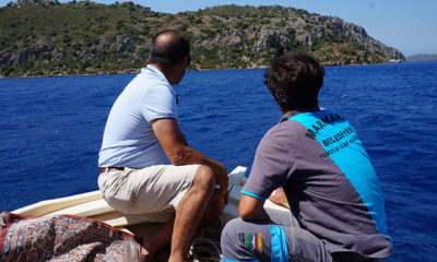 Marmaris’te adaya terk edilen eşek, bulunamadı