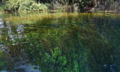 Kadın Azmağı, doğal akvaryum gibi