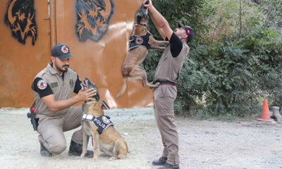 ‘Cadı’, ‘Pars’ ve ‘Tipi’, Hakkari’de uyuşturucuya geçit vermiyor