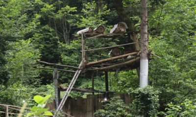 Kilosu 600 lira olan karakovan balı yok satıyor