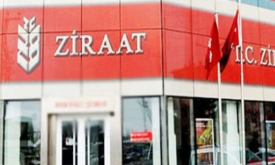 Ziraat Bankası: Seracılık kredi hacmi 2.5 milyar liraya ulaşır