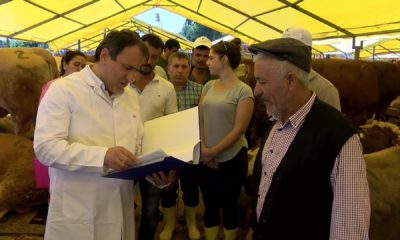 İstanbul’da bayram öncesi kurban pazarında sıkı denetim