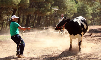 Gaziantep’te kurban yakalama timi drone da kullanacak