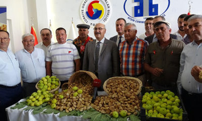 Aydın’da sezonun ilk kuru inciri kilosu 100 TL’den satıldı