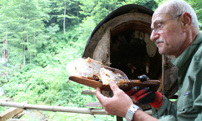 Kilosu 600 lira olan karakovan balı yok satıyor